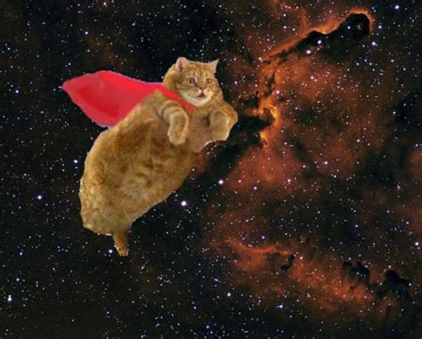 Space Cat bet365